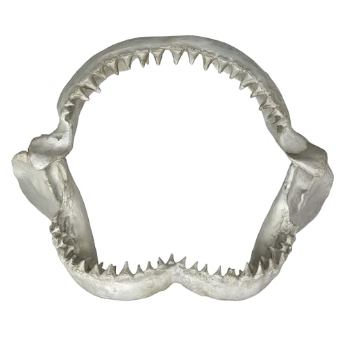 Chesapeake Bay Ltd. Replica Shark Jaw Wall Sculpture Realistic Resin Shark Jaws with Teeth Off-White Coastal Nautical Wall Art Marine Ocean Decor for Home Office Beach House Man Cave 16 Inch