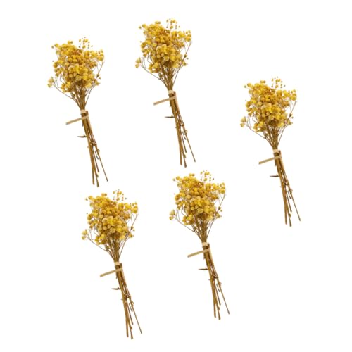Ramo pequeño de flores secas naturales Gypsophila 5 piezas miniatura 1