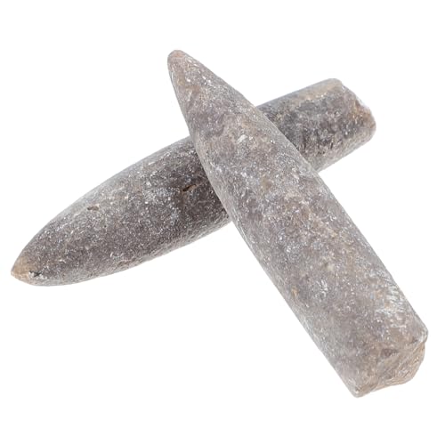 ARTSEWPLY 2 Stück Fossilreste Des Fischpfeils Original Mineralpräparat Für Paläontologische Forschung Und Bildungszwecke