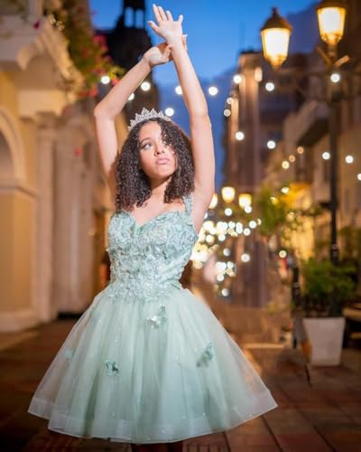 Spaghetti Straps Glitter Homecoming Dresses for Teens 3D Butterfly Short Prom Dress Tulle Quinceanera Dresses2