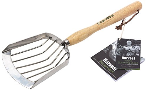 Burgon & Ball GTH/POTSCOOPRHS RHS Mid Handled Potato Harvesting Scoop