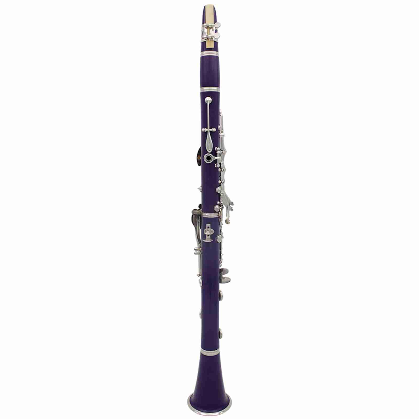 Eacam Clarinete B Plano, Instrumento de Viento de Madera ABS 17 Teclas con Estuche 10 Cañas, Paño Limpieza, Destornillador para Estudiantes Principiantes y Músicos (purple)