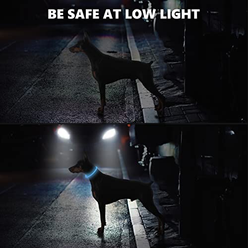 Light Up Dog Collar for The Dark Dog Collar Light with USB Rechargeable, Led Dog Collar - Image 3