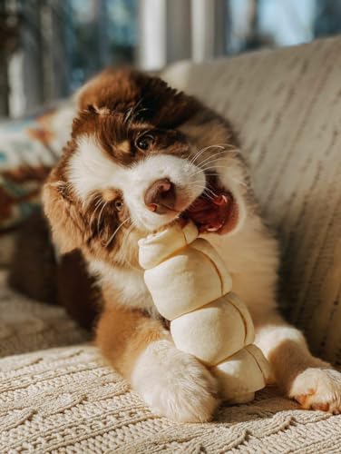 Redbarn Pet Products Redbarn All-Natural Large Beef Cheek Rolls For Dogs thumb #4