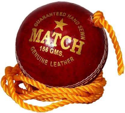 Shakti Sports Industries Bat Knocking Cricket Training Ball (Pack of 1) (B09YHCS4JJ) Amazon Price History, Amazon Price Tracker