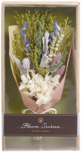 �G�X�W�[�����_�[�]�[�� (SG Wonder zone) �h���C�t�����[ 191-003 �v���[���g �M�t�g �u�[�P �X���b�O �C���e���A �G�� �X�ܑ��� ��������