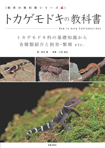 トカゲモドキの教科書 飼育の教科書シリーズ (サクラBooks)