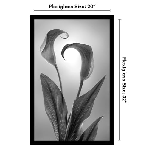 Americanflat 20x32 Poster Frame with Polished Plexiglass - Black Picture Frame - Wide Photo Frames Made of Engineered Wood for Vertical or Horizontal Wall Display - Epic Collection - Black
