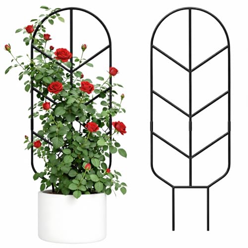 2 Pack 30 Large Metal Plant Trellis for Climbing Plants Tall Plant Support for Indoor & Outdoor Use Modern Decorative Trellis for Potted Plants (2 Pack)