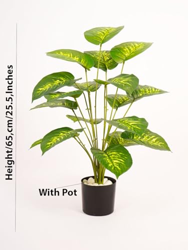 Image of ARICK DECOR 2.1Ft Artificial Dieffenbachia Plant with 18 Leaves, 65cm Tall Faux Variegated Tropical Dumb Cane in Black Pot, Realistic Large Silk Leaf Potted Tree for Home, Office & Interior Styling