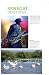 Bradt Senegal (Travel Guide) (Bradt Travel Guides. Senegal)