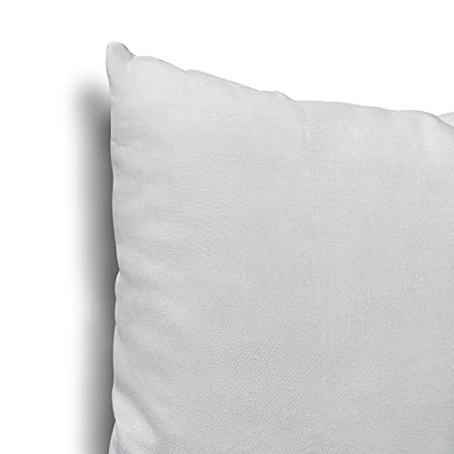 Image of EDOW Throw Pillow Inserts, Set of 2 Lightweight Down Alternative Polyester Pillow, Couch Cushion, Sham Stuffer, Machine Washable. (Grey, 16x16)