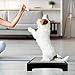 YEXEXINM Dog Training Place Board with Non-Skid Surface, Dog Platform for Training, Portable Dog Agility Platform，Dog Training Stand, Dog Training Equipment Suitable for Small, Medium Dogs