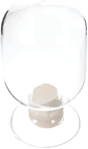 Ciieeo Contenedor de vidrio 8.5 fl oz Botella de muestra redonda de laboratorio de cristalería de exhibición de muestra Botella Soporte de