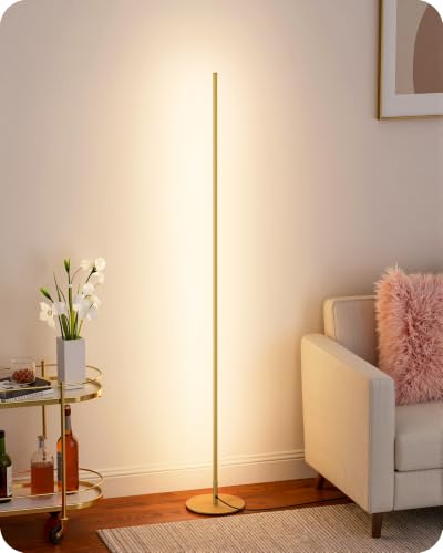 EDISHINE Dimmable Floor Lamp with Remote & Foot Switch