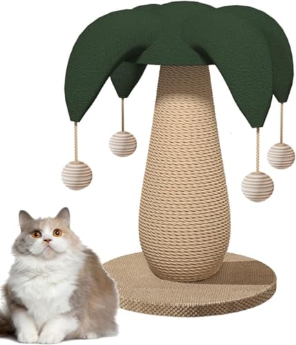 CHIANART L ܌ LmR c^ u ߂ SʖR ܌|[ ȃXy[X RpNg VRTCU || KK   gȒP Lbg^[ X ~j ^s (傫ȃsG̖Xq)