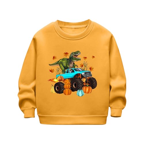 Boys Girls Fleece Casual Crewneck Sweatshirt Long Sleeve Loose Pullover T-Shirt Kids Cute Graphic Tee Tops for 2-12 Years