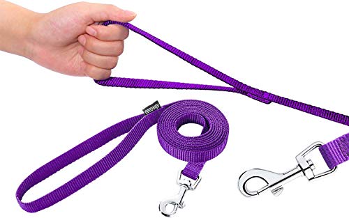 Amagood 6 Ft Puppy/Dog Leash, Strong And Durable Traditional Style Leash With Easy To Use Collar Hook,Dog Lead Great For Small And Medium And Large (Purple,5/8" X 6 Feet) #TOP1