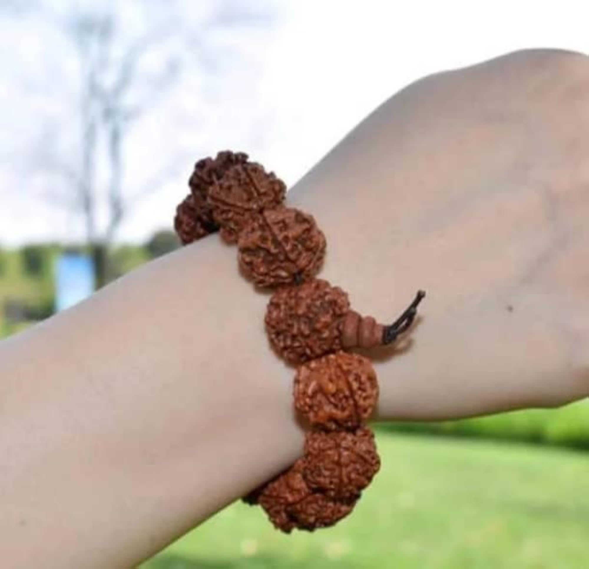 11 Mukhi Rudraksha Bracelet, Adjustable