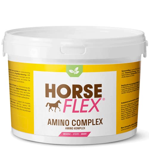 Poudre Amino juments pour le métabolisme musculaire au paddock