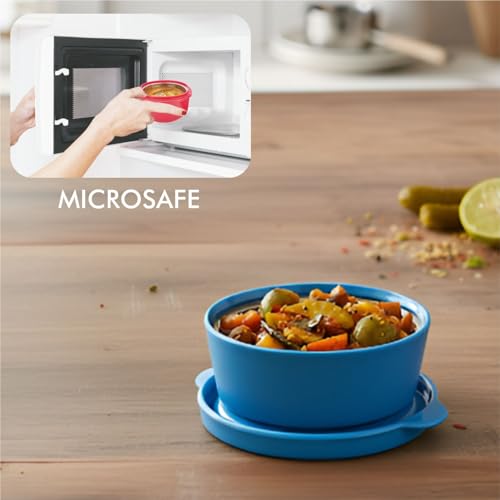 Image of SignoraWare Monarch Mini Mate Stainless Steel Container | Airtight & Leakproof | Small Storage Box for Spices, Chutney, Snacks | Ideal for Office, School & Travel (80ml | TBlue)