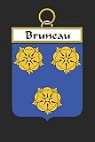 Bruneau: Bruneau Coat of Arms and Family Crest Notebook Journal (6 x 9 - 100 pages)