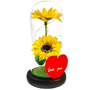 OJAYERR Sunflower Gifts for Women Mom Preserved Sunflowers in Glass Light Forever Flower Lamp Sunflower Decor Gift for Wife Girlfriend Grandma Sister Girls Christmas Birthday Mother’s Day