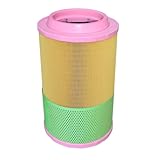 Air Filter C25860/2 for MANN FILTER