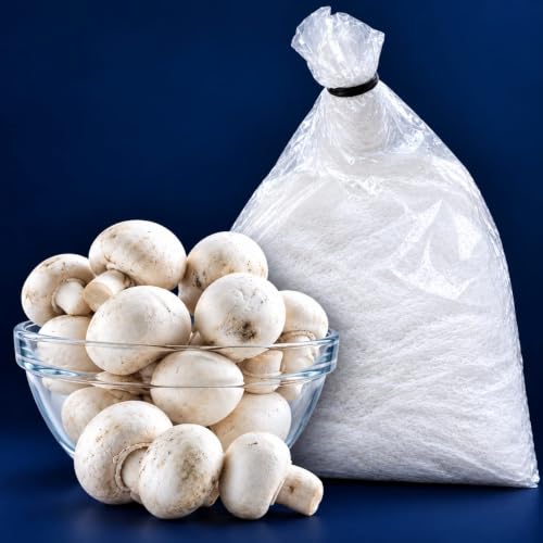 Organico Button Mushroom Spawn Seed (200gm Spawn + PP Grow Bags + Instruction) First Generation Agaricus bisporus Variety White Mycelium Button Mushroom Seed Spawn for Home Garden