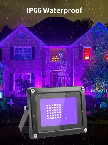 Led Black Light 30W,Blacklight Flood Light With Plug And Switch,Wavelength 385-400Nm Blacklight For Glow Party,Ip65 Waterproof Led Black Flood Lights For Body Paint,Fluorescent Poster #TOP3