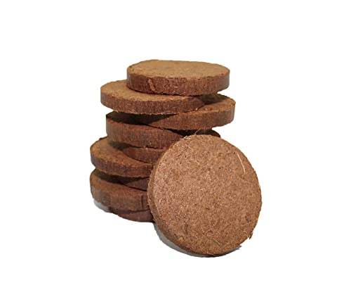 Coco Bliss Coco Coir Fiber Soil Discs With Low Ec And Ph - Organic Coconut Coir Potting Soil For House Plants, Succulents, Herbs, And Flowers - Omri Listed Seed Starter Discs (10 Pack, 50Mm) #TOP5