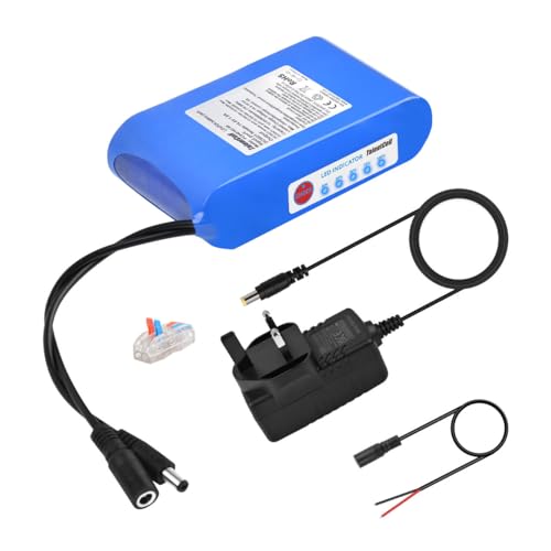 Talentcell 12V LiFePO4 Battery Pack, 3000+ Cycles Rechargeable 12.8V 6000mAh 76.8Wh Lithium Iron Phosphate Back-up Battery with DC 12V Output for LED Strip Light, CCTV Camera, Router, DIY Project