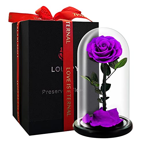 LOUVPY Forever Roses, Beauty and The Beast Rose in Glass Dome, Eternal Preserved Rose Forever Flower, Rosas Preservadas para Regalo, Presentes para Mãe, Esposa, Presentes de Aniversário para Mulheres (Roxo, 23 cm)