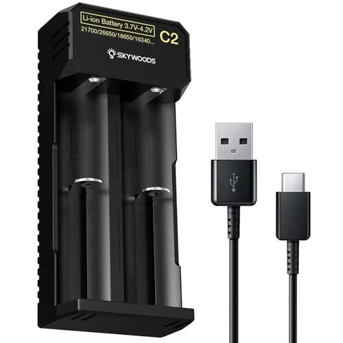 Chargeur de batterie à double canal pour lampes de poche de randonnée