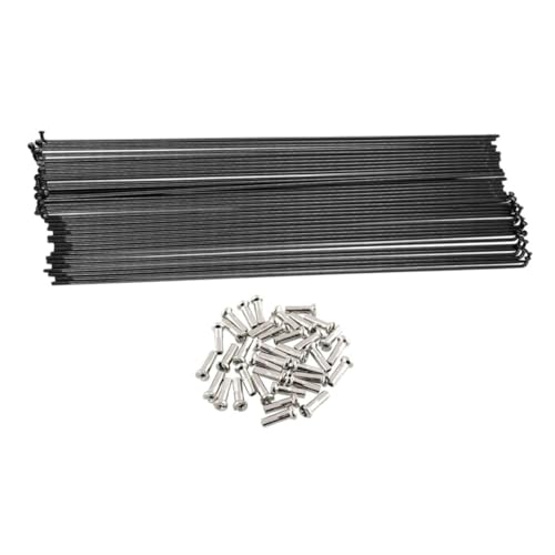 POPETPOP 100Zbg  |]ԃX|[N ubNdグ jbvt }Ee[hLbY܂肽ݎ]ԑΉ ϓȏdʔzň