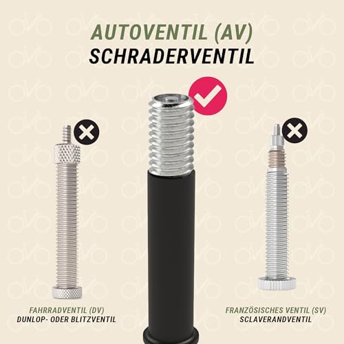 Prophete Fahrradschlauch mit Autoventil, passend für 20 x 1,75 bis 20 x 2,125 Zoll, ETRTO: (47-406,50-406,54-406,57-406)