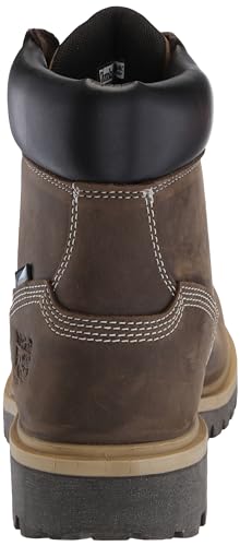 Timberland PRO Timberland PRO Women's Direct Attach 6 Inch Steel Safety Toe Insulated Waterproof Industrial Work Boot, Turkish Coffee-2024 NEW, 8M
