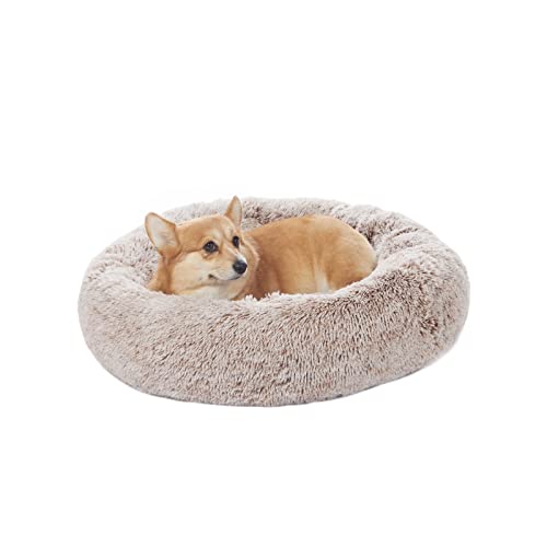 Image of Bedfolks Calming Donut Dog Bed - 30 inch Round Plush for Medium Dogs, Anti-Anxiety, Machine Washable (Brown, Medium)