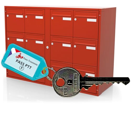 Clé Pass PTT F10 - Ouvre Serrures Boîtes aux Lettres & Immeubles (Norme La Poste) - Acier Nickelé - Clé du Facteur F10
