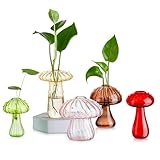 Glasseam Maceta de cristal de hongos, lindas macetas hidropónicas de