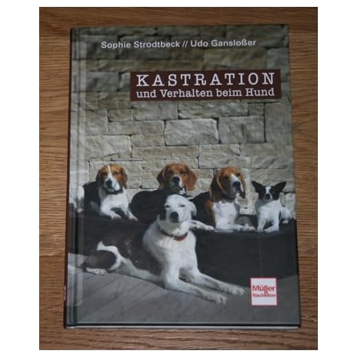 Kastration und Verhalten beim Hund