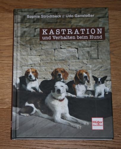 Kastration und Verhalten beim Hund