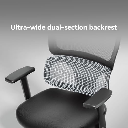 Image of SIHOO M56C Ergonomic Office Chair, Desk Chair with Armrests, Computer Chair with Dual Back Design and Adaptive Dynamic Lumbar Support, 2 Packs, Dark Black