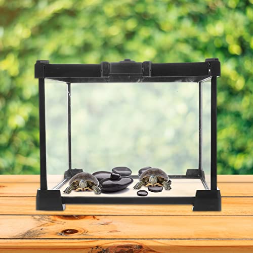 Réservoir pour animaux de compagnie en verre pour sécuriser vos reptiles - 7