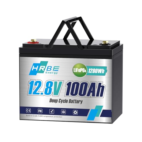 100Ah LiFePO4 Battery 12.8V Lithium Battery...