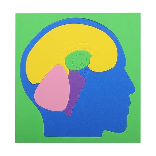 Anatomie Puzzle des Menschlichen Körpers | Eva Gehirn Lernspiel,DIY Anatomisches Modell Puzzle - Für Mädchen Kinder Jugendliche Zuhause Schule