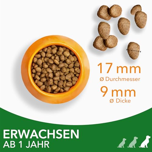 IAMS Hundefutter trocken mit Lamm - Trockenfutter für erwachsene Hunde ab 1 Jahr, geeignet für große Hunde, 3 kg