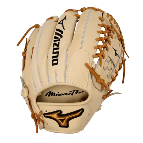 Mizuno Pro Baseball Glove Series