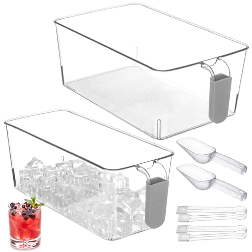 Set de 2 hieleras plásticas transparentes con agarradera gris miniatura 1