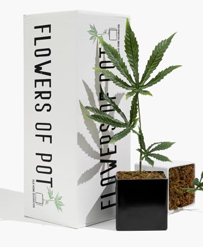 15 Inch Cannabis Fake Weed Plant for Home Decor with Black Pot – Lifelike Artificial Marijuana Leaf, Zero Maintenance Faux Indoor Plant for Room, Office, Shelf, Pranks & Gifts, UV Resistant